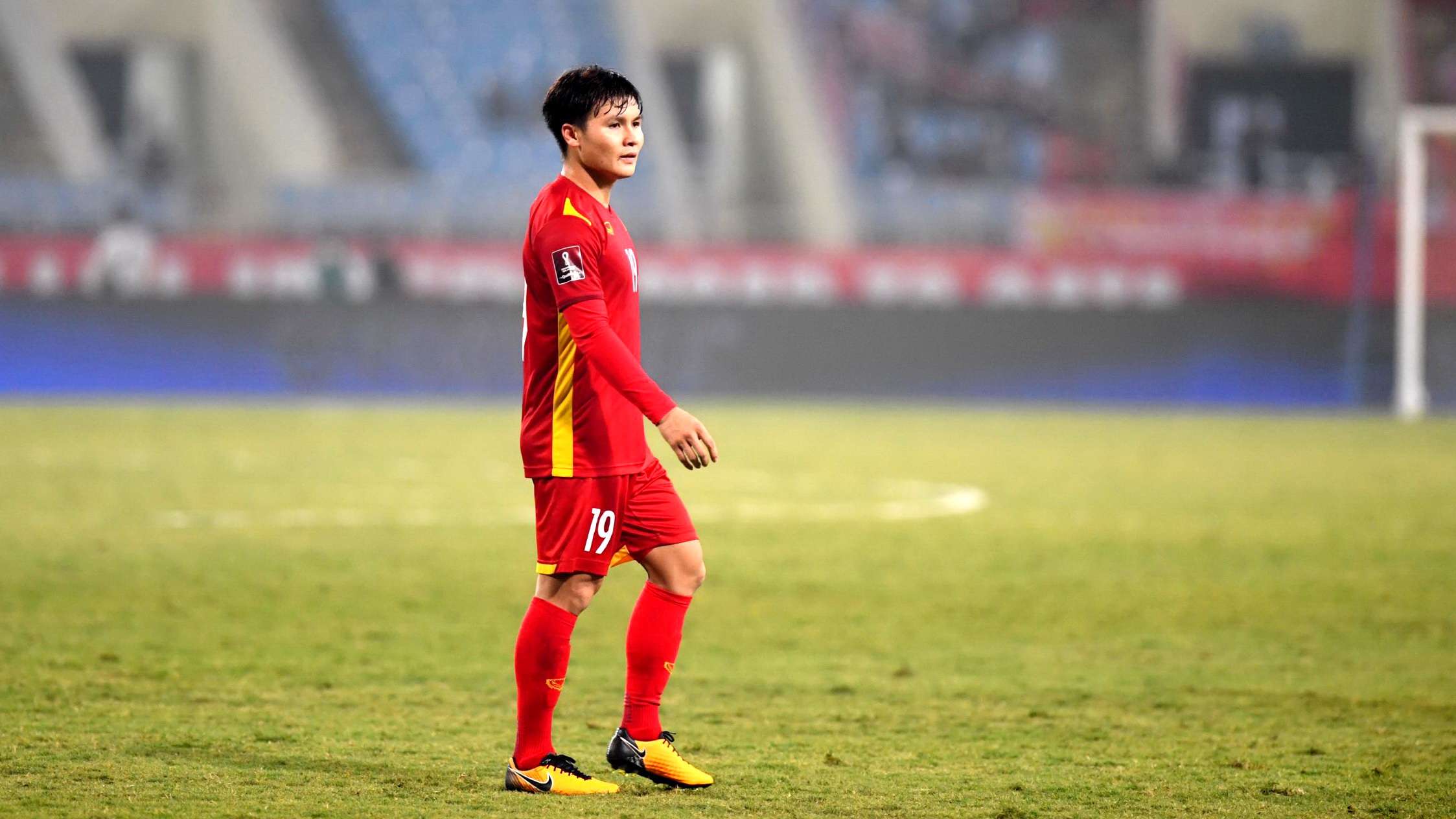 山东鲁能V